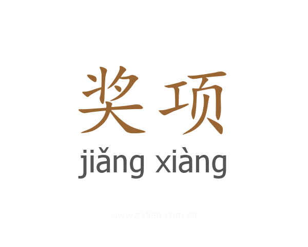 奖项