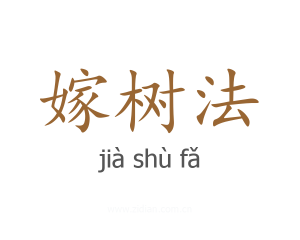 嫁树法