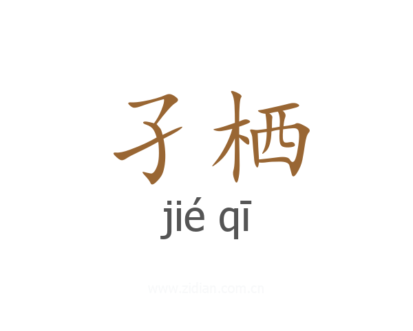 孑栖