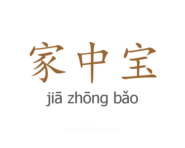 家中宝