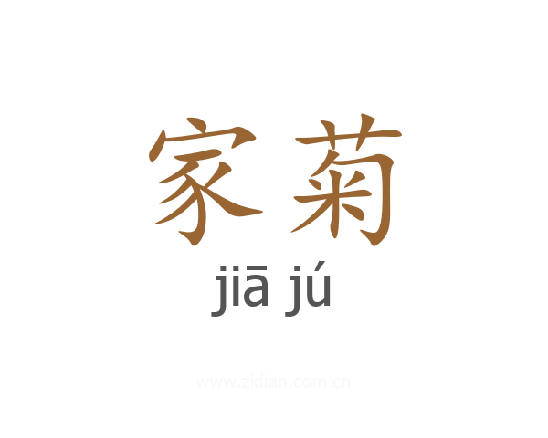 家菊