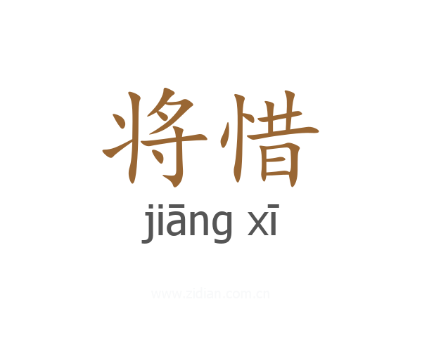 将惜