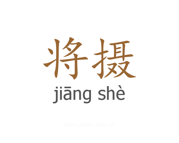 将摄