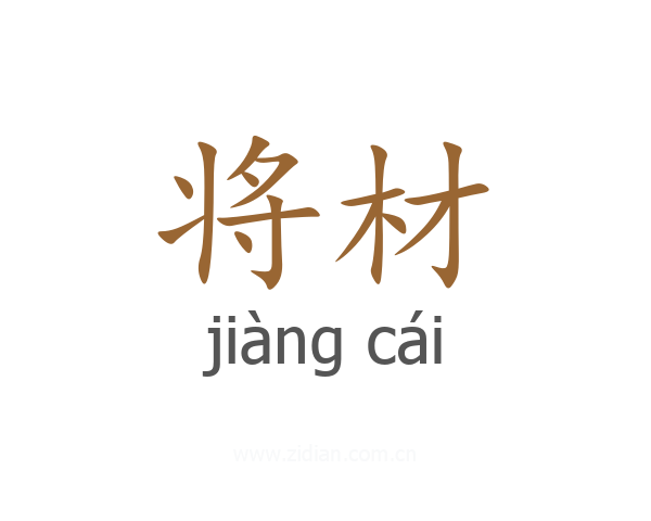 将材