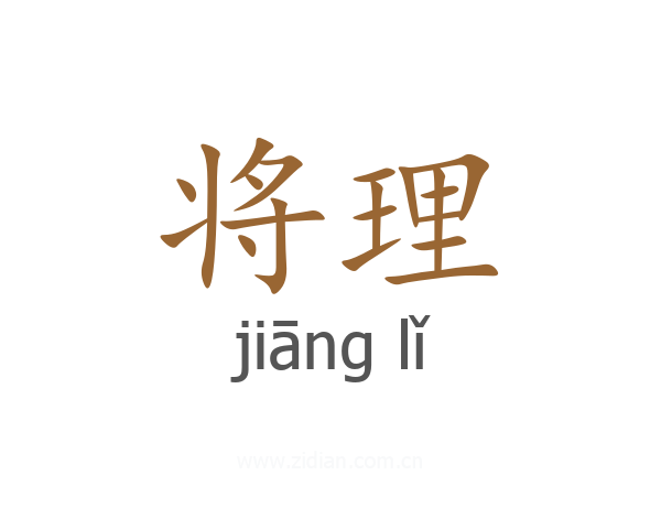 将理