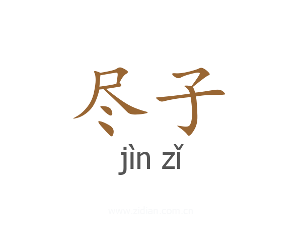 尽子