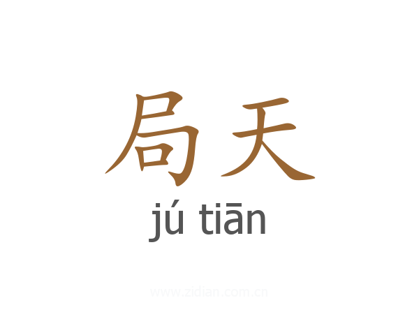 局天
