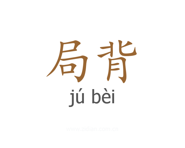 局背