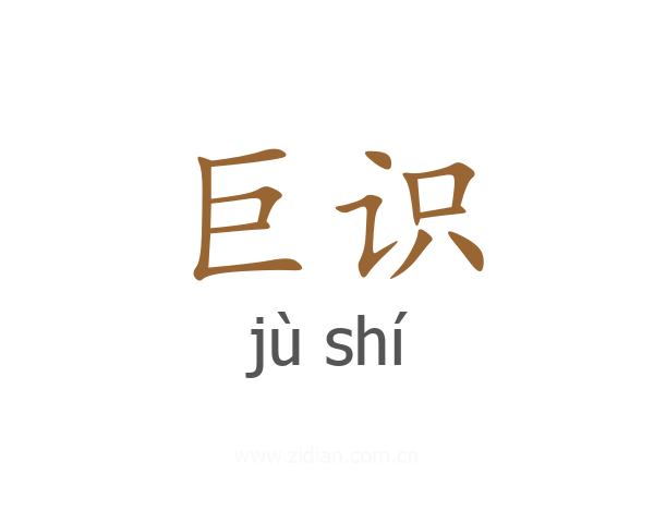 巨识