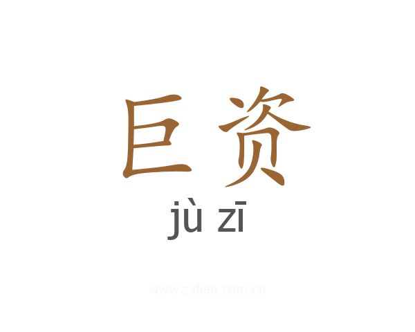 巨资