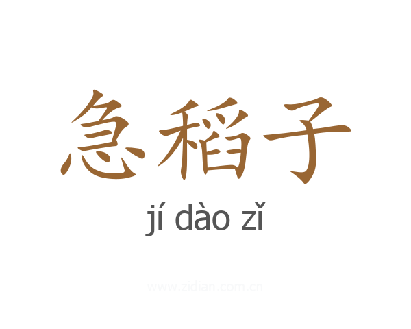 急稻子