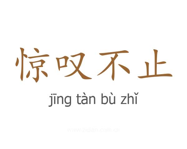 惊叹不止