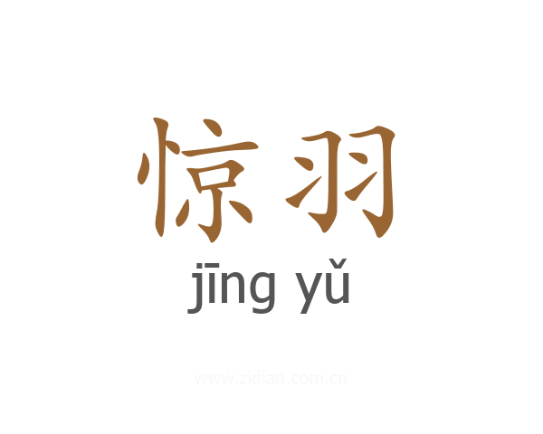 惊羽