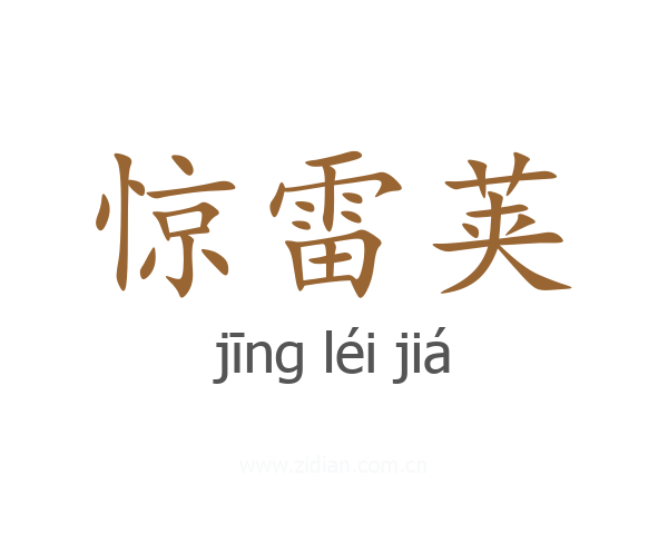 惊雷荚