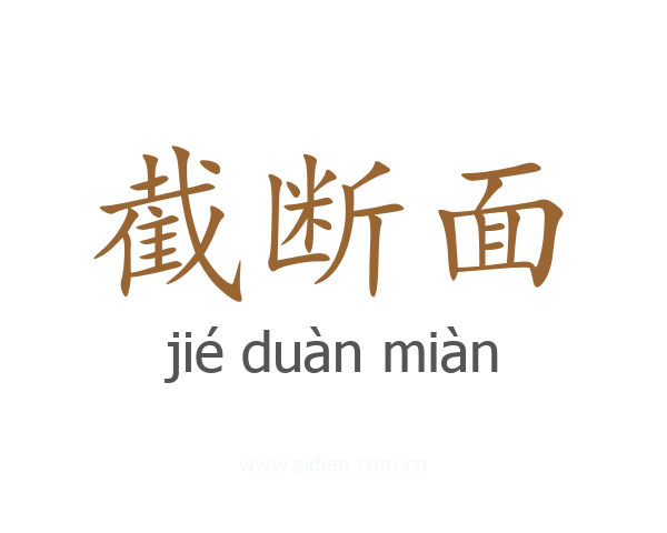 截断面