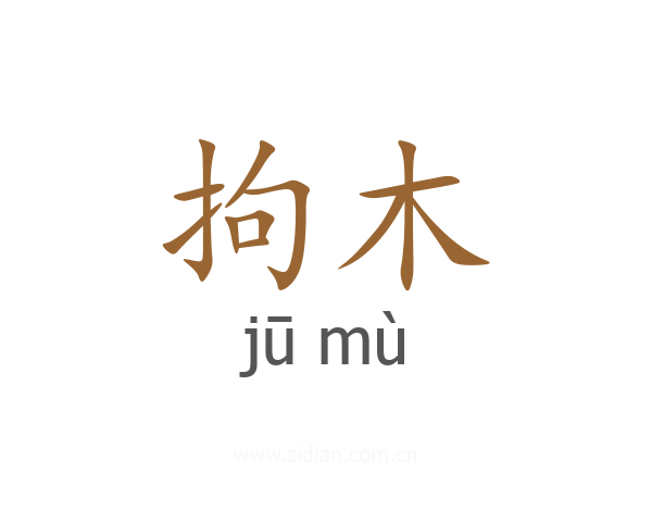 拘木