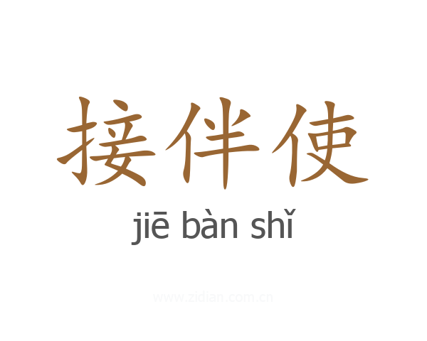 接伴使