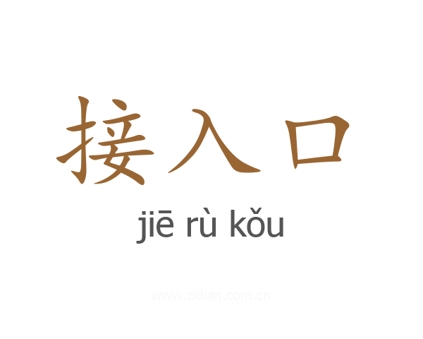 接入口