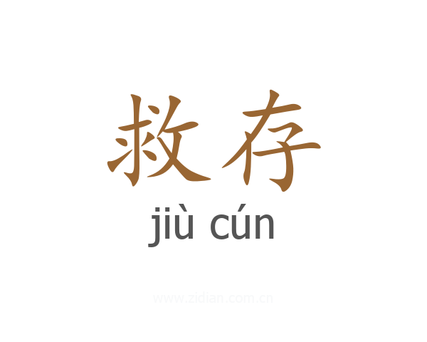 救存