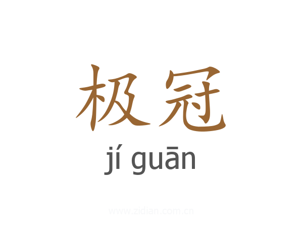 极冠