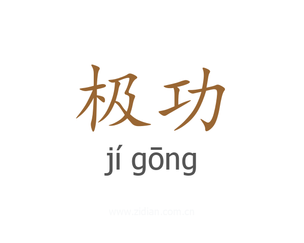 极功