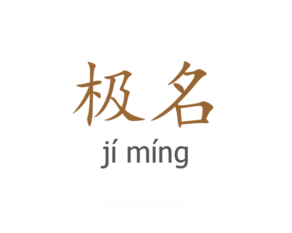 极名