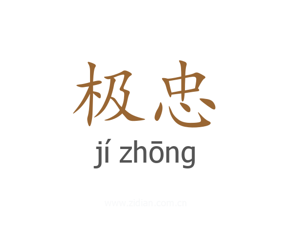 极忠
