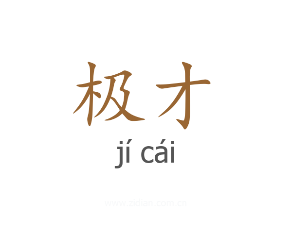 极才