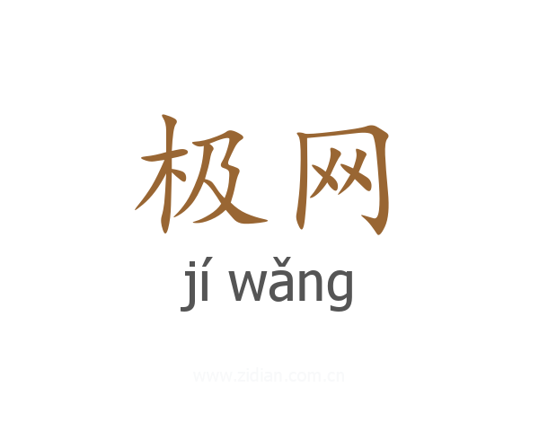 极网