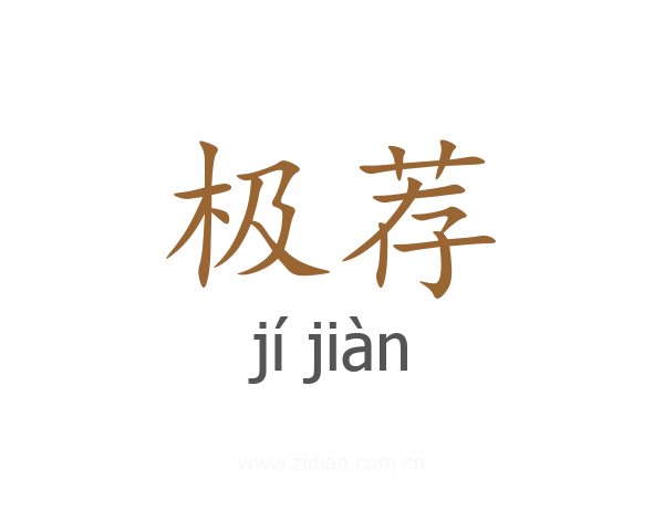极荐