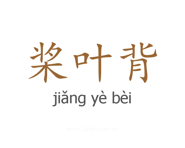 桨叶背