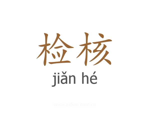 检核