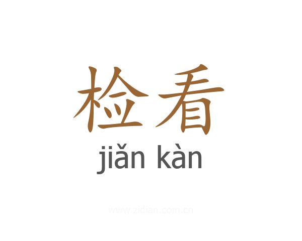 检看