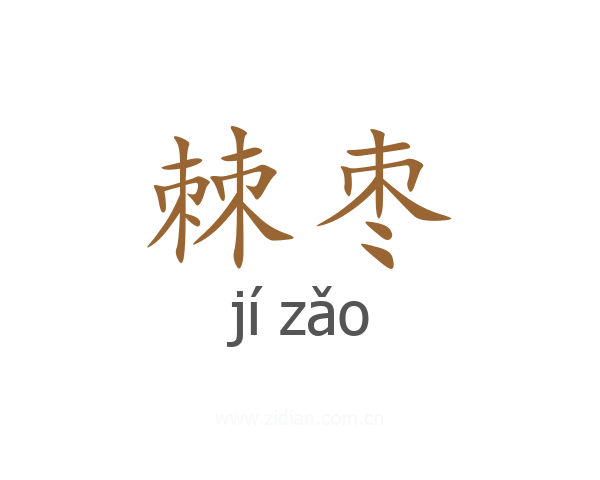 棘枣