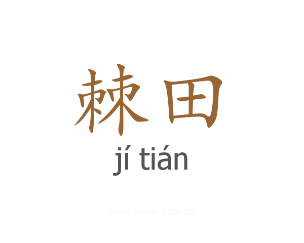棘田