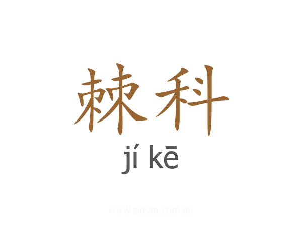 棘科