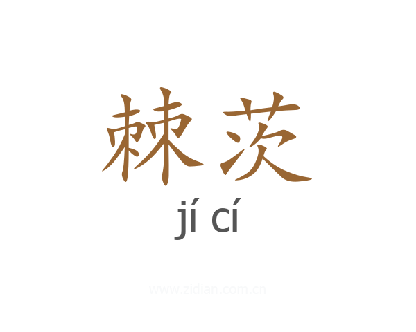 棘茨