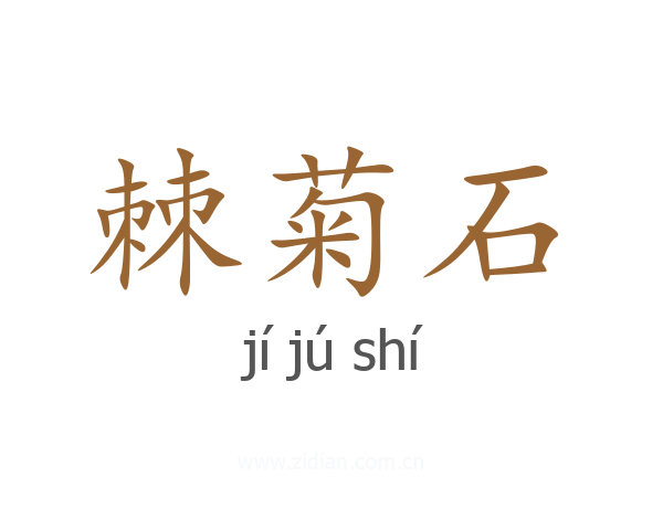 棘菊石