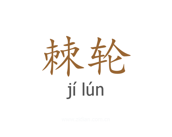 棘轮