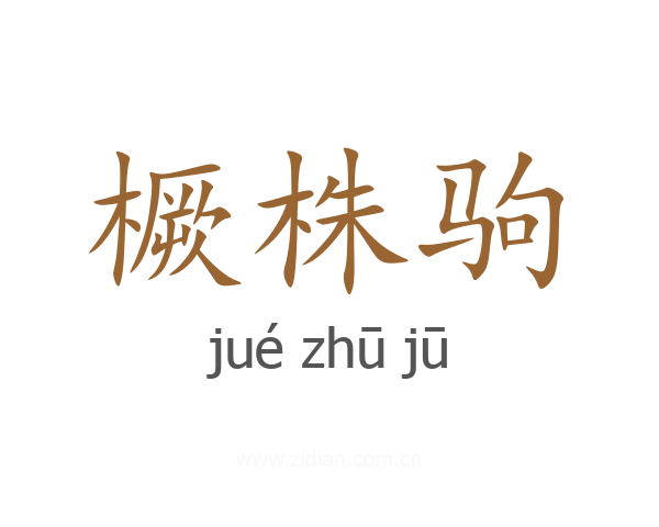 橛株驹