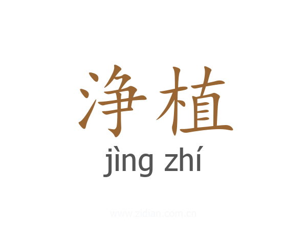浄植