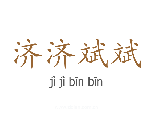 济济斌斌