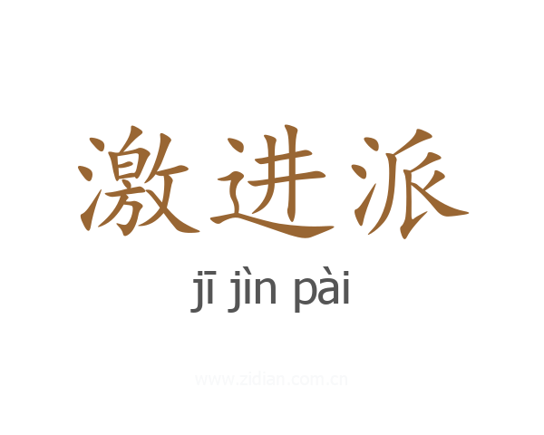 激进派