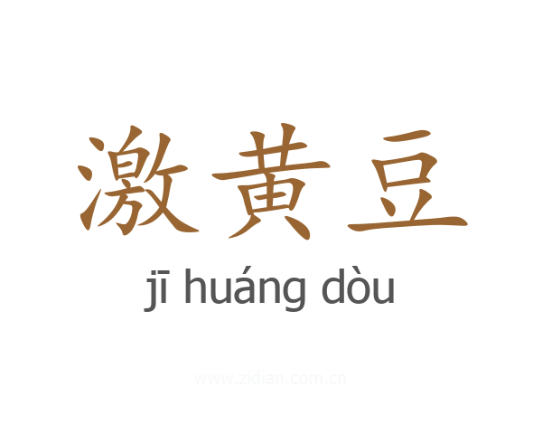 激黄豆