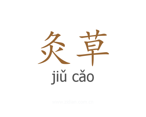 灸草