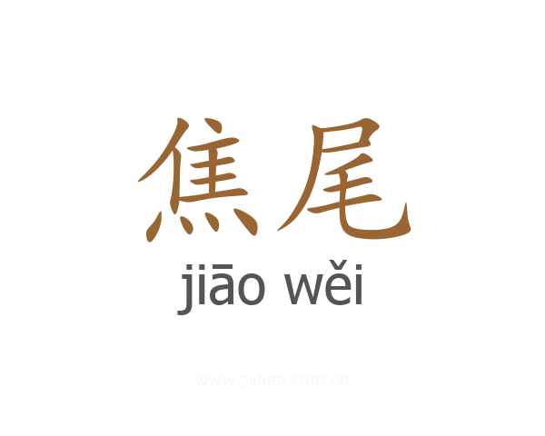 焦尾