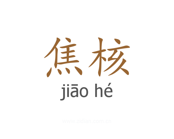 焦核