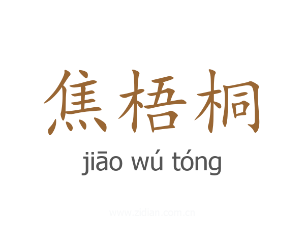 焦梧桐