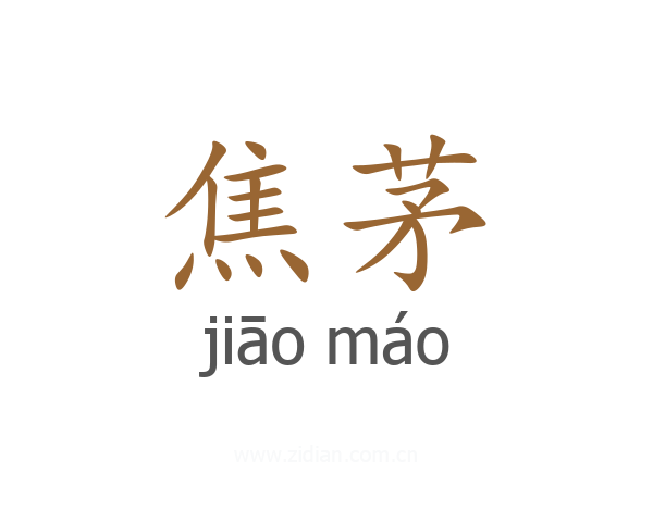 焦茅