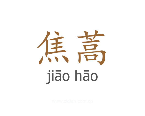 焦蒿